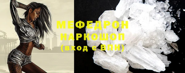 индика Ессентукская