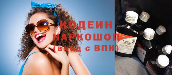 сатива Коряжма