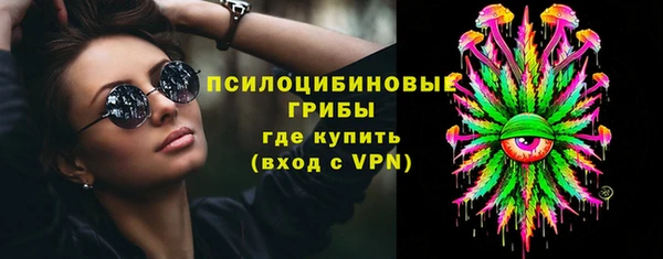 сатива Коряжма