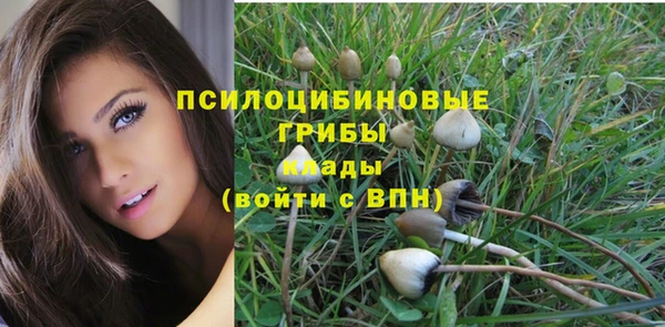 сатива Корсаков