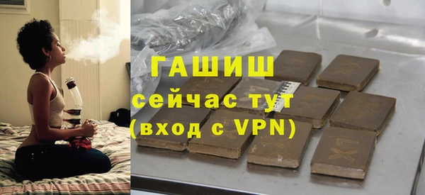 сатива Коряжма