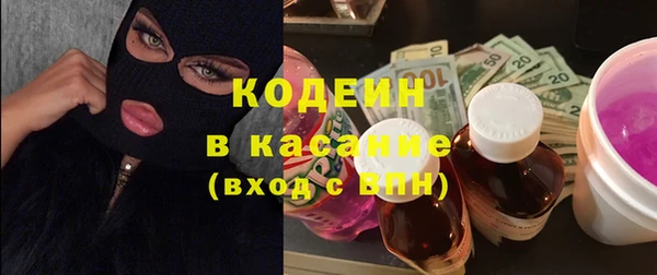 сатива Корсаков