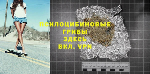 сатива Корсаков