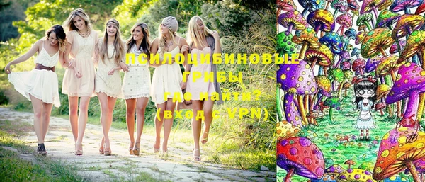 сатива Коряжма