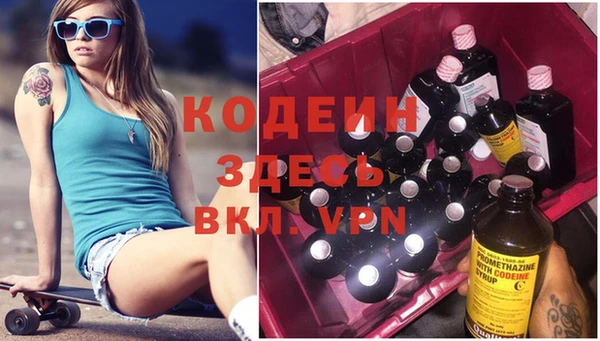 сатива Коряжма