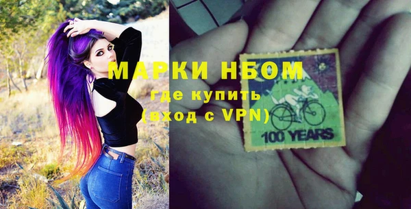 сатива Коряжма