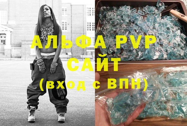 сатива Коряжма