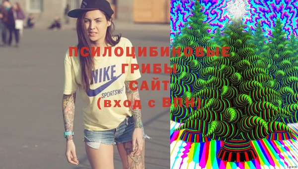 сатива Коряжма