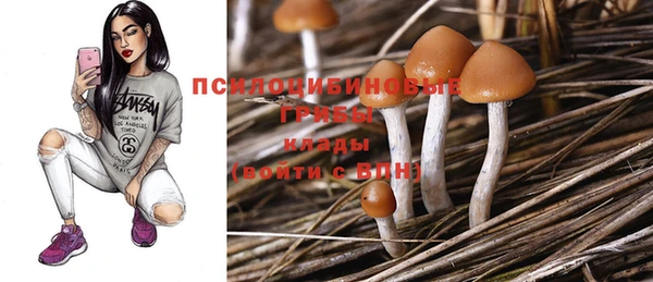 сатива Коряжма