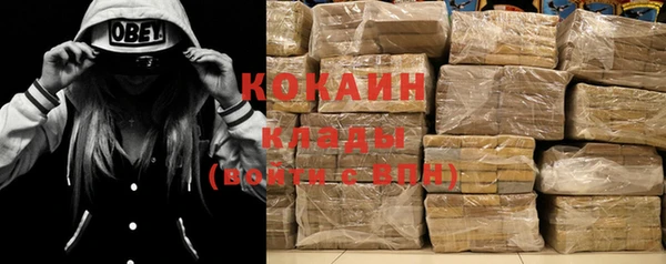 сатива Корсаков