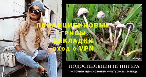 jwh Костерёво