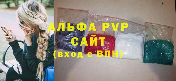 сатива Корсаков